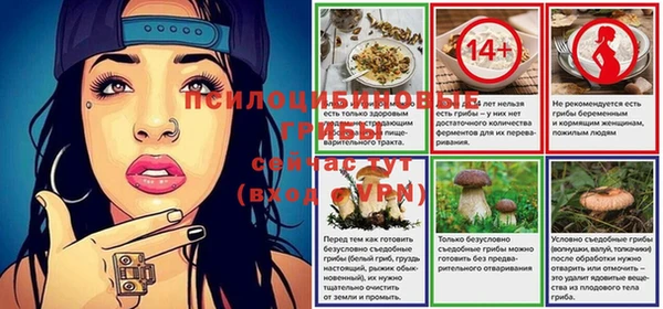 мет Горно-Алтайск
