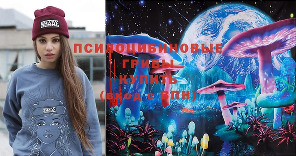 эйфоретик Горняк